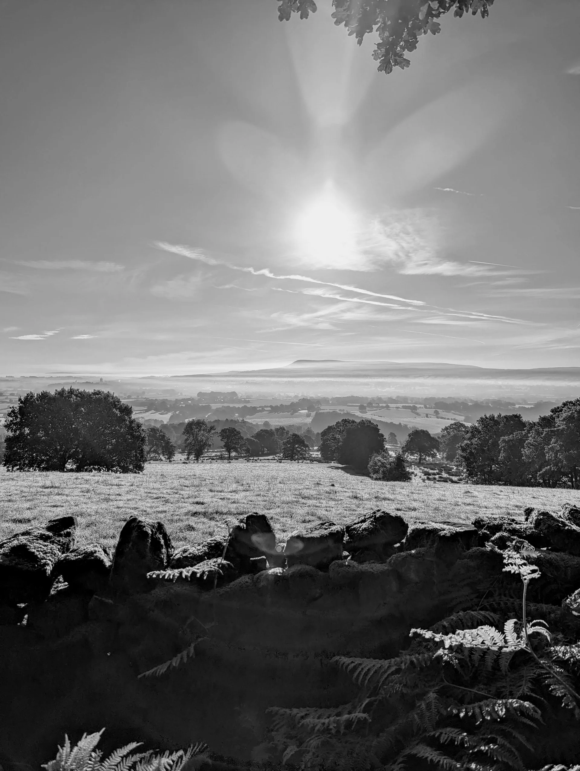 Photo taken by the author